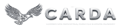 cropped silver logo.png